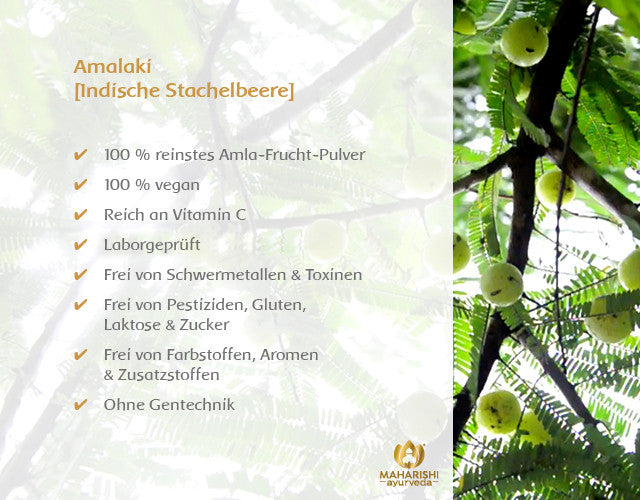 Amalaki Natural (Amla Frucht)