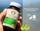 Amalaki Natural (Amla Frucht)