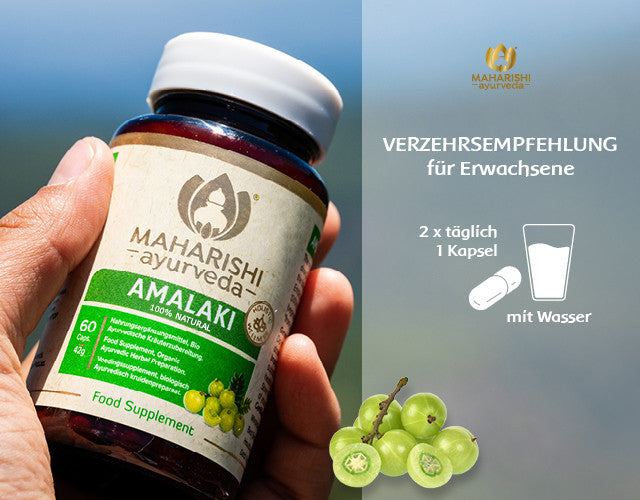 Amalaki Natural (Amla Frucht)