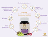 Calcio Care MA 925 – Ayurveda Nahrungsergänzung mit Kalzium und Kräutern