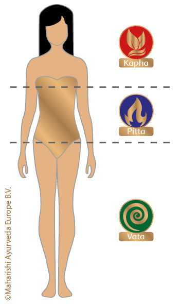 Verteilung von Vata, Pitta und Kapha im Körper