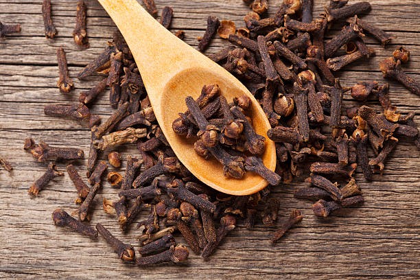 Zingiber officinale (Ingwer) 