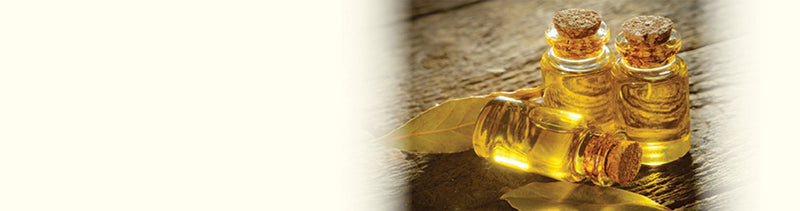 Banner Images