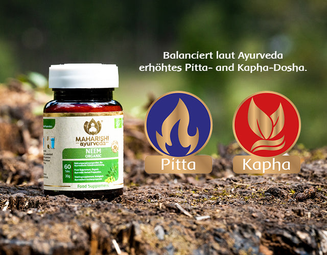 Neem und Doshas im Ayurveda