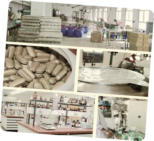 Strengthening Quality & Compliance in Europe
