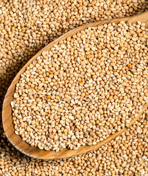 Millets – nährstoffreiche, uralte Getreide