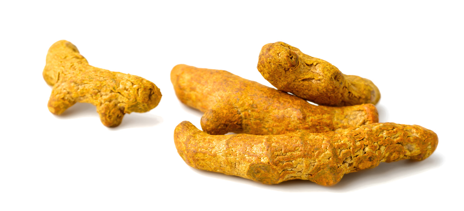  Curcuma longa (Turmeric / Geelwortel) 